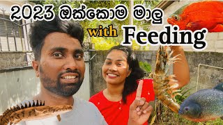 අපේ අන්තිම Video එක 😳  2023 ඔක්කොම සත්තු 😍 VLOGSbyceylonpethub [upl. by Roose]