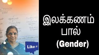 Learn Tamil Lesson 20  English Version  Grammatical Gender [upl. by Marvella]