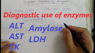 Diagnostic use of enzymes  Enzymes  Biochemistry [upl. by Annoynek]