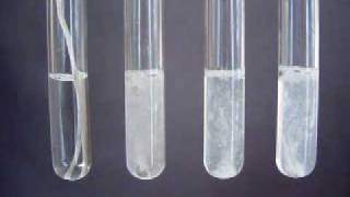 Group 2 Reactions with water  Periodic Properties [upl. by Woodley]