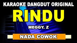 RINDU  Meggy Z Karaoke dangdut original [upl. by Esdras927]