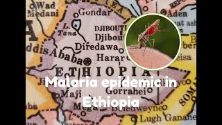 Malaria epidemic in Ethiopia [upl. by Llyrad]