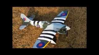 TOP RC Hobby Hawker Tempest 800mm [upl. by Rye]