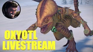 Oxyotl Campaign Livestream Part 3 [upl. by Vitoria]