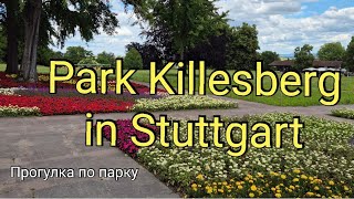 Park Killesberg in Stuttgart [upl. by Anirres]