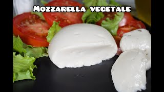 Mozzarella vegetale fatta in casa  Il Girasole Verde [upl. by Eedoj]