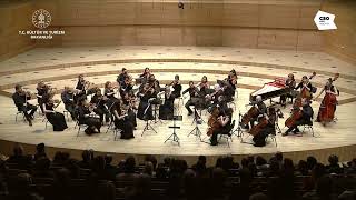 Gyula Beliczay Serenade for Strings op36 [upl. by Gemma]