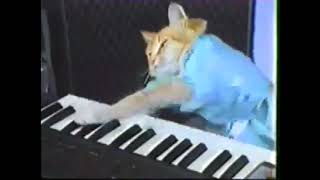 Keyboard Cat but he plays piano music from GTA 3 [upl. by Htirehc]