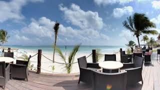 Hotel Akumal Bay Beach amp Wellness Resort  Yucatan Mexico [upl. by Carlen712]