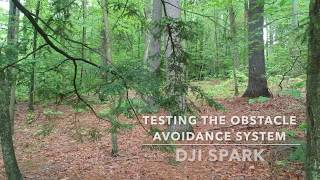 DJI Spark Obstacle Avoidance Tests [upl. by Allehcram138]