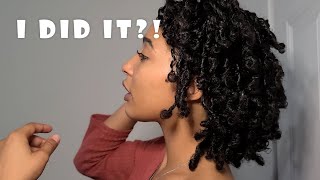 Lazy FRIZZ Control Retwist On My Starter Locs Using Flaxseed Gel  3b3c Hair [upl. by Goldfinch]