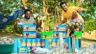 New Dangerous Crackers Testing  இப்படி எல்லாம் வெடி இருக்கா 🤔🤔  Village Rocket Testing [upl. by Enialem255]