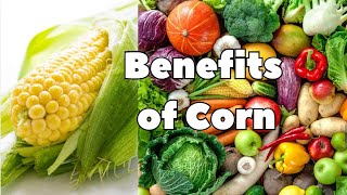 Benefits of CORN Very Beneficial [upl. by Jovitta616]