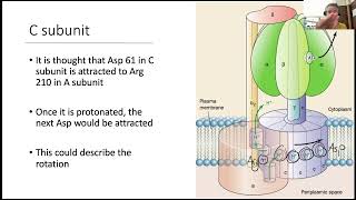 Oxidative Phosporylation 2 [upl. by Kristina]