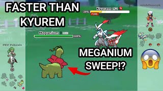 The Unforseen Meganium Comeback Pokemon Showdown Random Battles High Ladder [upl. by Limoli]