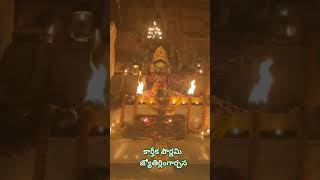 KARTIKADEEPOTSAVAM The Festival of varanasi trending shorts viralvideo [upl. by Ogaitnas]