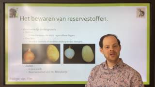 Biologie van Tim  Planten omzetten en opslaan van glucose [upl. by Nagard]