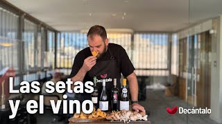 Las setas y el vino  Decántalo [upl. by Willumsen]