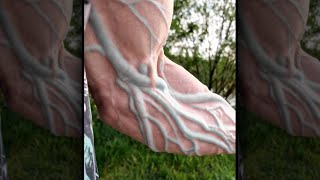 quotBro Thinks Hes Veins CEOquot😲 [upl. by Katherina]