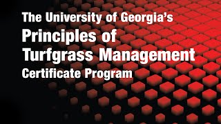 Principles of Turfgrass Management at the University of Georgia [upl. by Elleunamme]