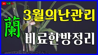 3월의난관리와 비료의 모든것에 대하여 알아봅니다 [upl. by Eniahpets]