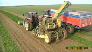 FRANQUET arracheuse chargeuse sur un CASE IH 1455 en 2010 [upl. by Seaman190]