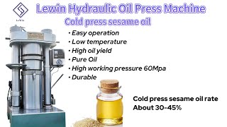 lewin cold oil press machine 6YY270 oil presser sesame oil machine in china [upl. by Namsu]