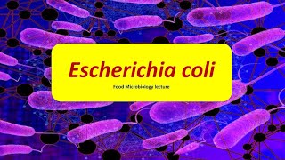 E coli  Escherichia coli  Infection  Intoxication  Pathology  Hindi  Food Microbiology [upl. by Htepsle]