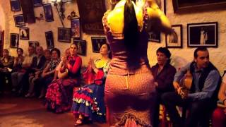 Flamenco Dance by Spanish Gypsies Part 2 [upl. by Eirok712]