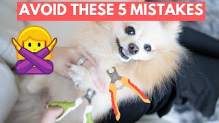 5 Common Nail Clipping Mistakes  How to Safely Trim Your Dogs Nails at Home [upl. by Llezniuq643]