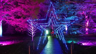 The Beautifully Lit KEW GARDENS Christmas 2022 [upl. by Gariepy979]