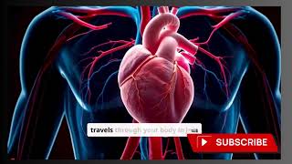 The Shocking TRUTH About Your Circulatory System [upl. by Hotchkiss]