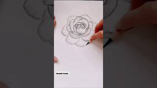 Rose Art Drawing For Pencil Gulab Kese Bante Ha rose artist artandcraft mushahifcreation [upl. by Itirp]