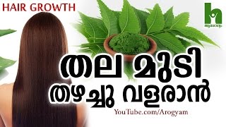 മുടി പെട്ടെന്ന് തഴച്ചു വളരാൻ ഈ ഇല  Latest malayalam health tips [upl. by Gnem]