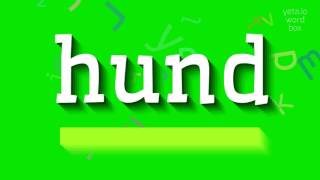 HUND  HOW TO PRONOUNCE HUND [upl. by Kemeny]