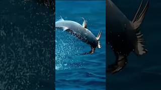 fish sea bluesea flyingfish islamicchannel sealife nature naturesounds [upl. by Ardekan]