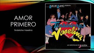 Amor Primero  Timbiriche  Karaoke [upl. by Gerdi969]