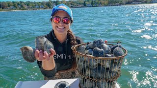 GIANT CLAMS Catch and COOK Coastal Foraging Niantic River Connecticut [upl. by Calendre]