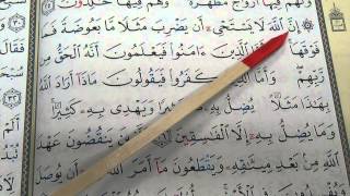 Lessons on Tajweed  Session 9  Reading Surah alBaqarah Verses 25  29  by Shaykh Hosaam [upl. by Leahcimluap]