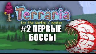 ГЛАЗ КТУЛХУ КОРОЛЬ СЛИЗНЕЙ  КООП  FOR THE WORTHY  MASTER  TERRARIA [upl. by Naryk]