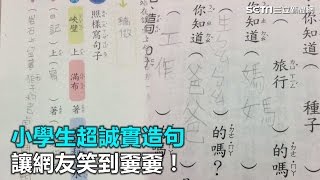 小學生超誠實造句 讓網友笑到嫑嫑！｜三立新聞網SETNcom [upl. by Armallas]