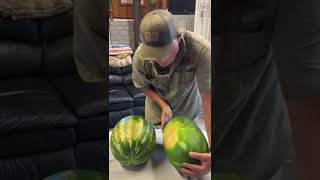 How To Pick A Ripe Watermelon [upl. by Conrad]