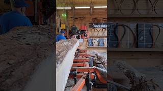 16 ft White Oak we making 2x12x16ft Lumber boy are they heavywoodmizer wood diy [upl. by Junji688]