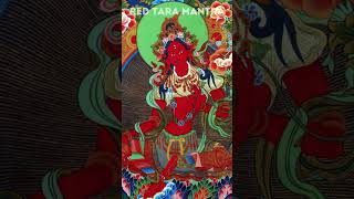 Love Mantra  Red Tara Mantra  Kurukulle Mantra  Om Tare Tam Soha  红度母咒语 [upl. by Auahsoj]