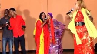 Fartun birimo somaliyey ma nabad baa 2013 HD [upl. by Ativel469]