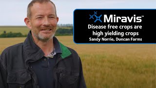 MIRAVIS® Disease free crops are high yielding crops [upl. by Edialeda]