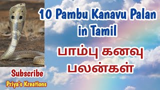 10 பாம்பு கனவில் வந்தால் என்ன பலன்  10 Pambu Kanavu Palan in Tamil  Kanavu Palan  Snake Kanavu [upl. by Anitneuq]