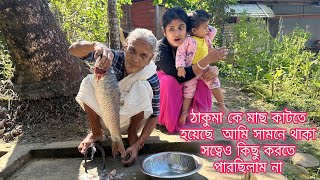 ঠাকুমা কে মাছ কাটতে হয়েছে আমি সামনে থাকা সত্বেও কিছু করতে পারছিলাম না everydayexpert [upl. by Head]