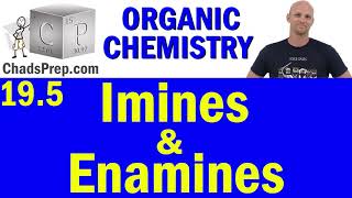 195 Imine and Enamine Formation  Addition of Amines  Organic Chemistry [upl. by Atnahc716]