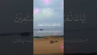 Healing dua Surah Fatiha A cure for your soul trending surahfatiha youtubeshorts allah [upl. by Hi]